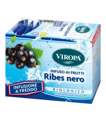 RIBES NERO INFUSIONE A FREDDO