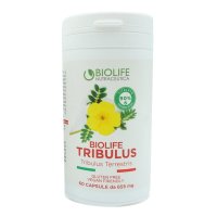 TRIBULUS TERRESTRIS 60CPR