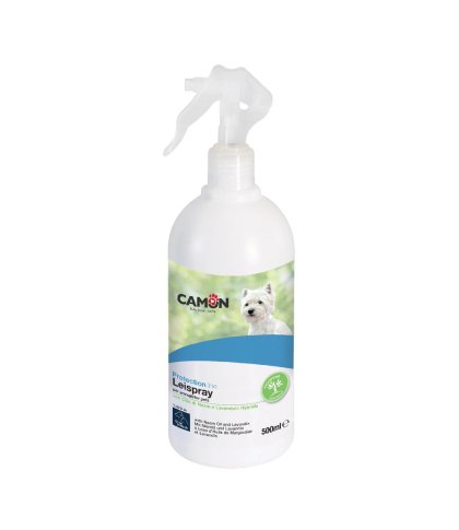 LEISPRAY PROTECTION 500ML