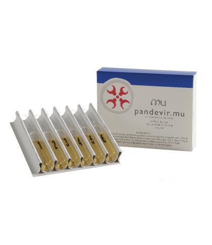 PANDEVIR MU 6FX12ML