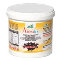 ATTIVATRE POLVERE 250G