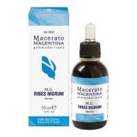 RIBES NIGRUM MACERATO MAGE50ML