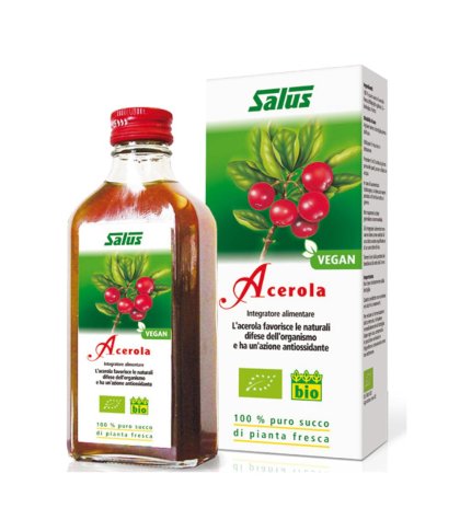 SUCCO ACEROLA 200ML