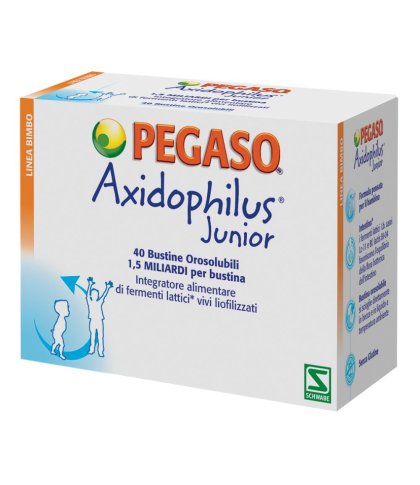 AXIDOPHILUS JUNIOR 40BUST