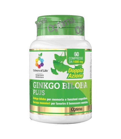 GINKGO BILOBA 60 CPR 1000MG