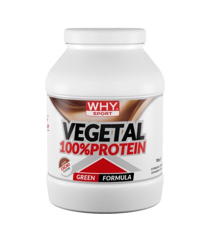 100% VEGETAL PROTEIN CACAO750G