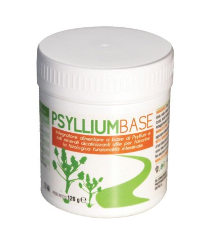 PSYLLIUM BASE POLVERE 120G AVD