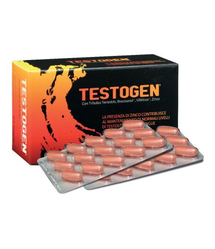 TESTOGEN 60CPS 1200MG