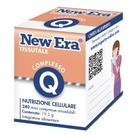 NEW ERA Q 240GR