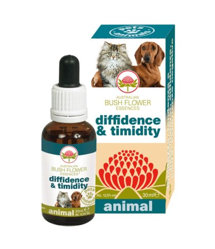 DIFFIDENCE & TIMIDITY 30ML