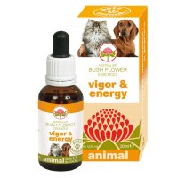 VIGOR & ENERGY 30ML