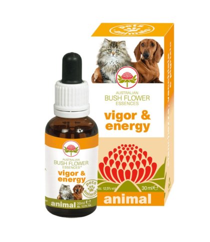 VIGOR & ENERGY 30ML