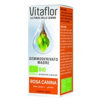 VITAFLOR ROSA CANINA BIO 15ML