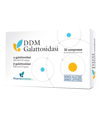 DDM GALATTOSIDASI 30CPR