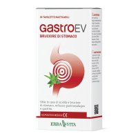 GASTRO EV 30TAV MASTICABILI