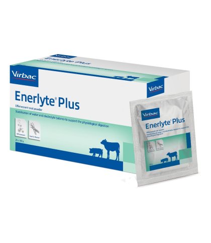 ENERLYTE PLUS 24 BS