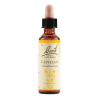 GENTIAN BACH ORIG 20ML