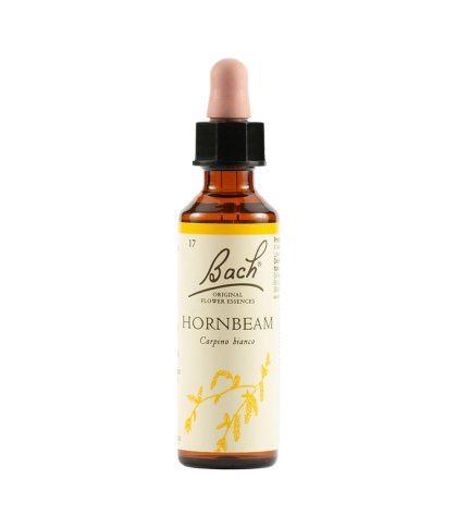 HORNBEAM BACH ORIG 20ML