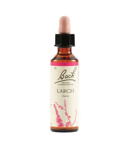 LARCH BACH ORIG 20ML