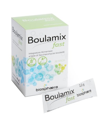 BOULAMIX FAST 20STICK