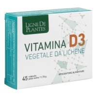 VITAMINA D3 VEGETALE 45CPS