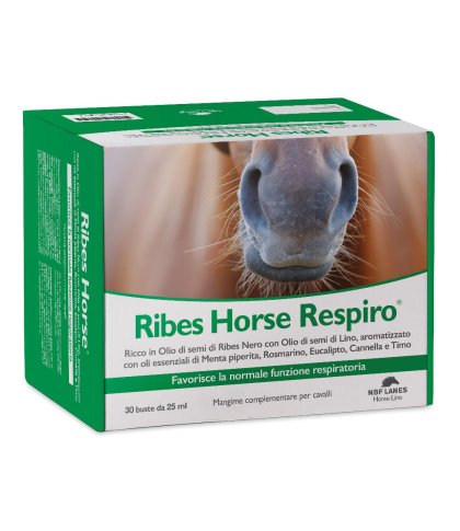 RIBES HORSE RESPIRO 30BUST