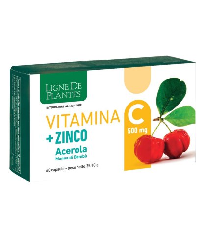 VITAMINA C 500MG+ZI/AC/BA60CPS