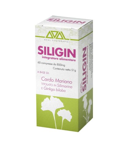 SILIGIN COMPRESSE 60CPR