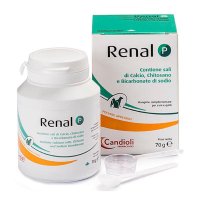 RENAL P 80G