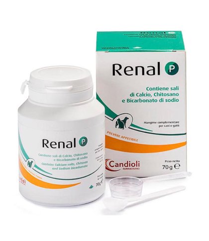 RENAL P 80G