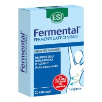 FERMENTAL MAX 20 NATURCAPS