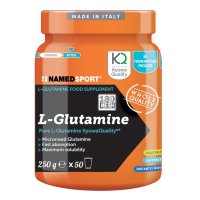 NAMED SPORT L-GLUTAMINE 250G