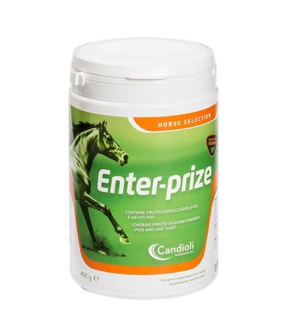 ENTER-PRIZE 450G