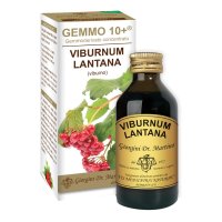 VIBURNO LIQ ANALCOLICO 100ML