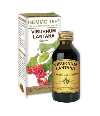 VIBURNO LIQ ANALCOLICO 100ML