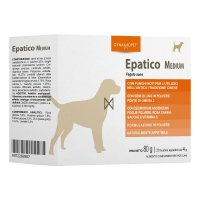 EPATICO 20BUST 4G