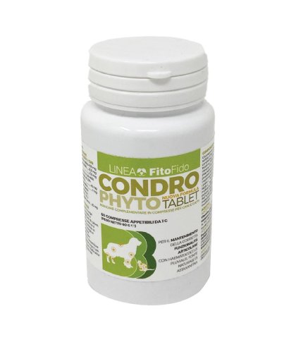 CONDROPHYTO 60CPR 1G