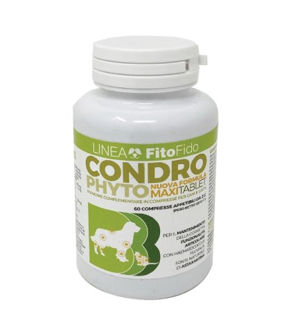 CONDROPHYTO 60CPR 2G