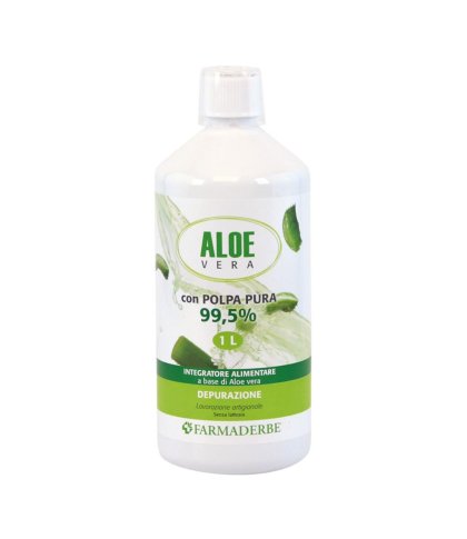 ALOE VERA SUCCO POLPA 1000ML