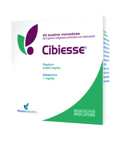 CIBIESSE 20BUST