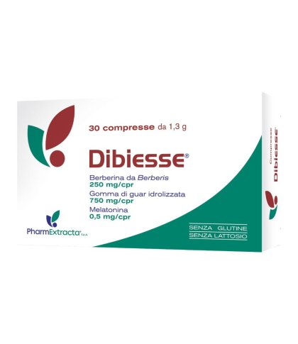 DIBIESSE 30CPR