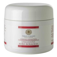 UNGUENTO BORO BORACICO 250ML