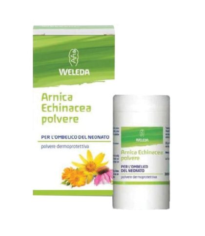 ARNICA ECHINACEA POLVERE 20G