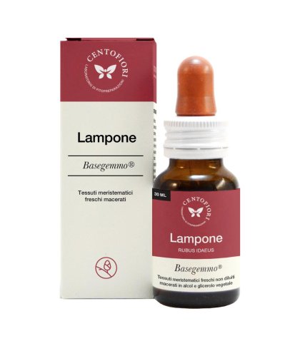 LAMPONE BASEGEMMO GTT 30ML CEN
