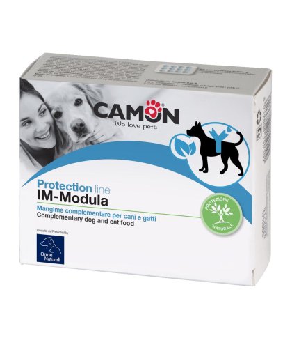 PROTECTION IM-MODULA 60 CPR