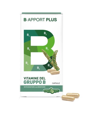 B-APPORT PLUS 45CPS