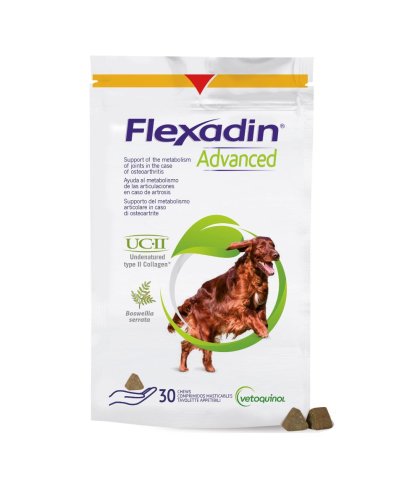 FLEXADIN ADVANCED 30TAV MASTIC