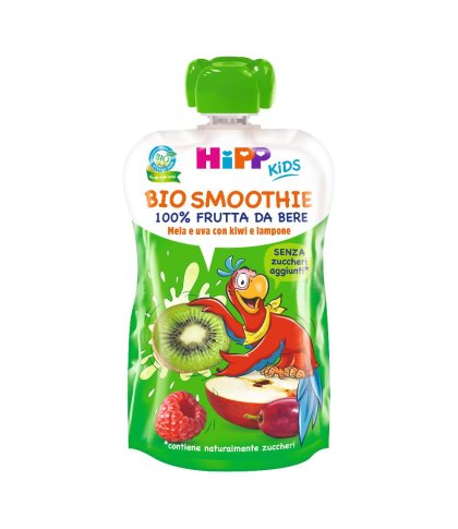 HIPP BIO SMOOTHIES MELA/UVA/KI