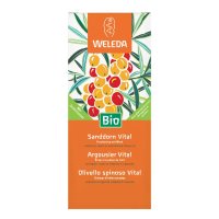 OLIVELLO SPINOSO VITAL SCIR