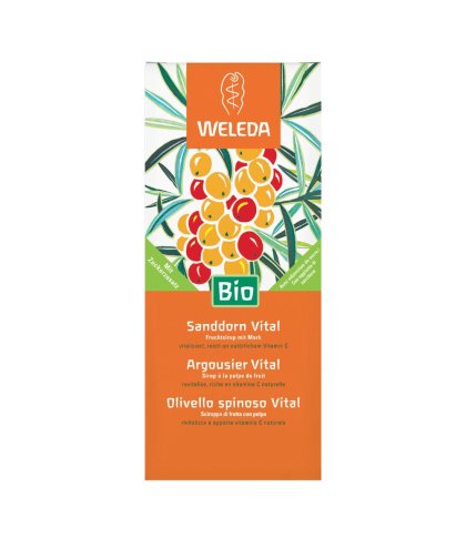 OLIVELLO SPINOSO VITAL SCIR